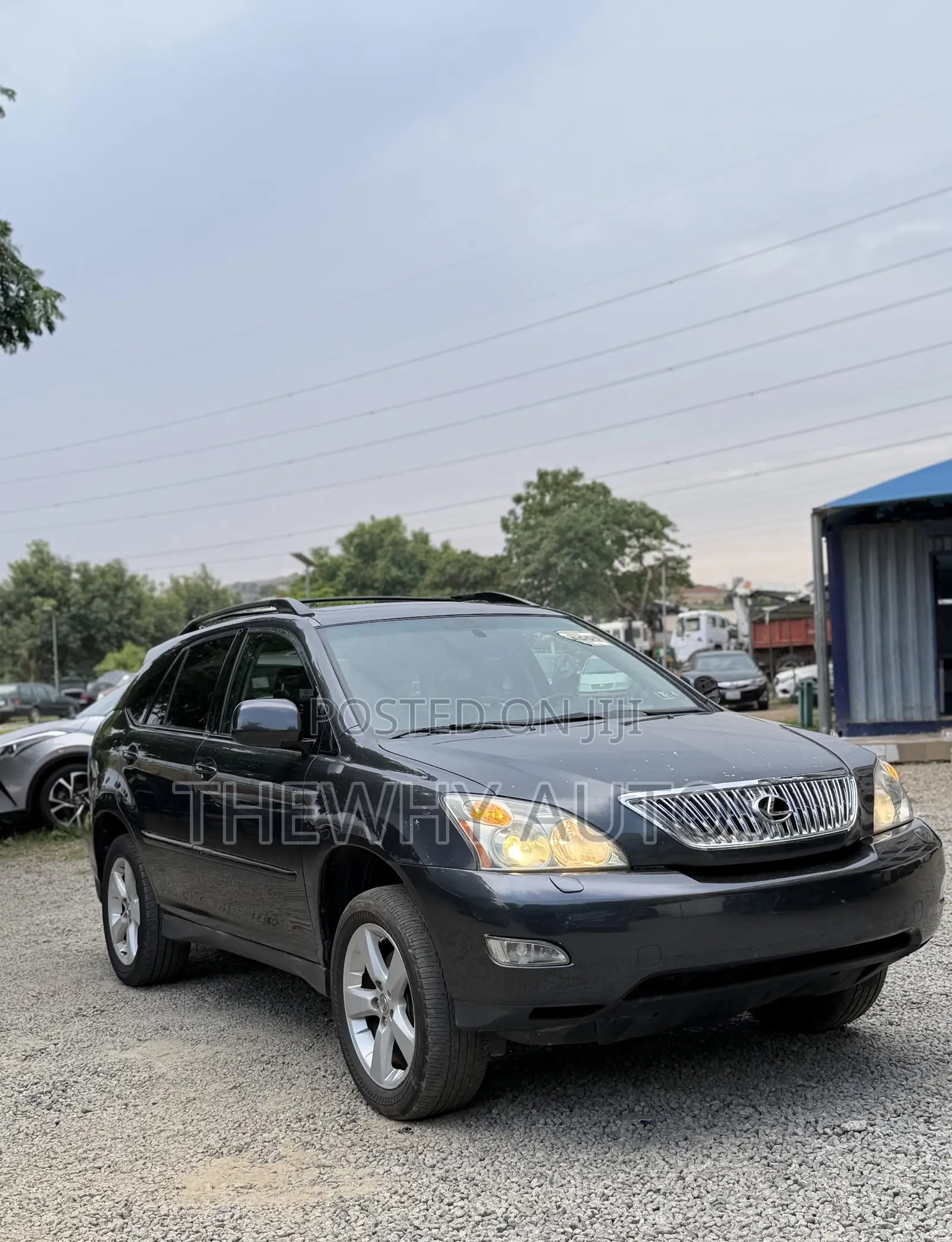 Lexus RX 330 2004 Gray