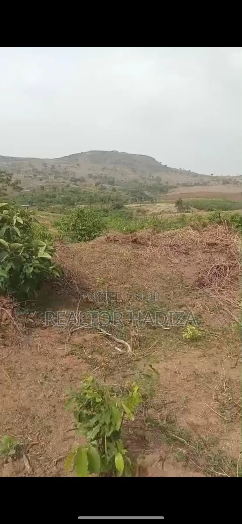 Estate Land