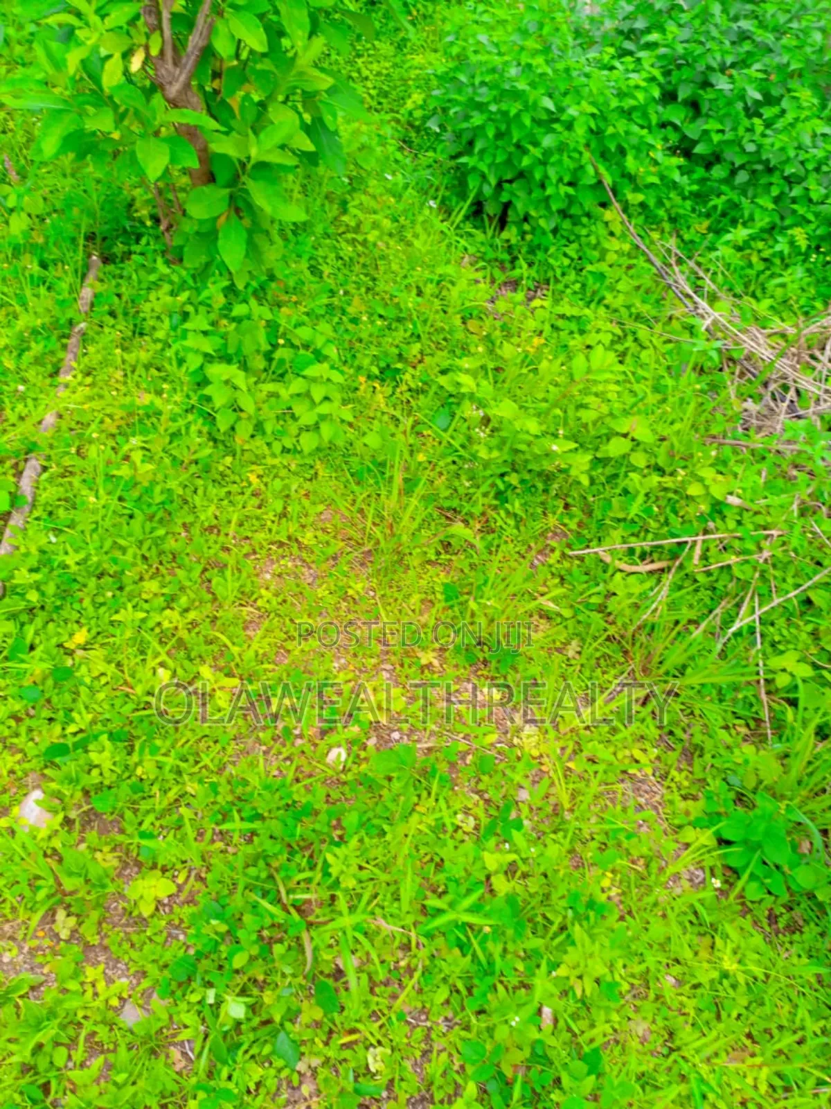 874sqm Residential Plot at New Asokoro