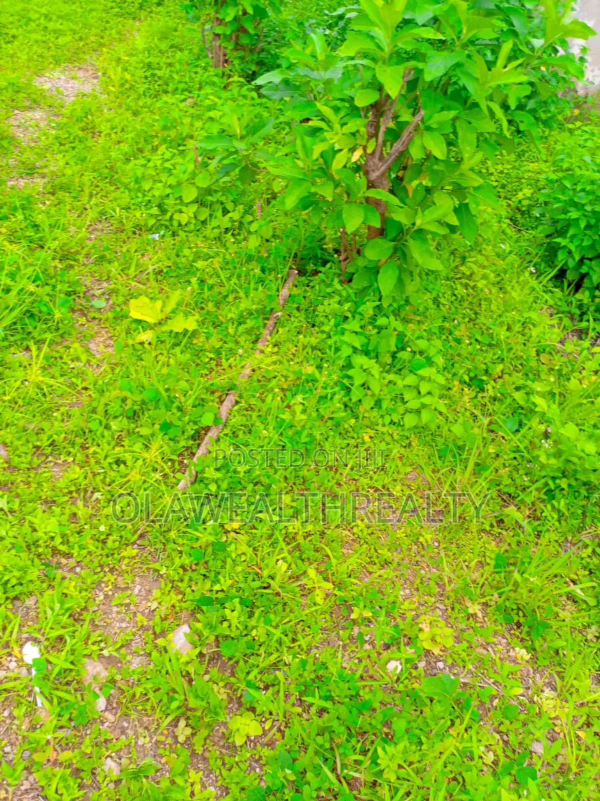874sqm Residential Plot at New Asokoro
