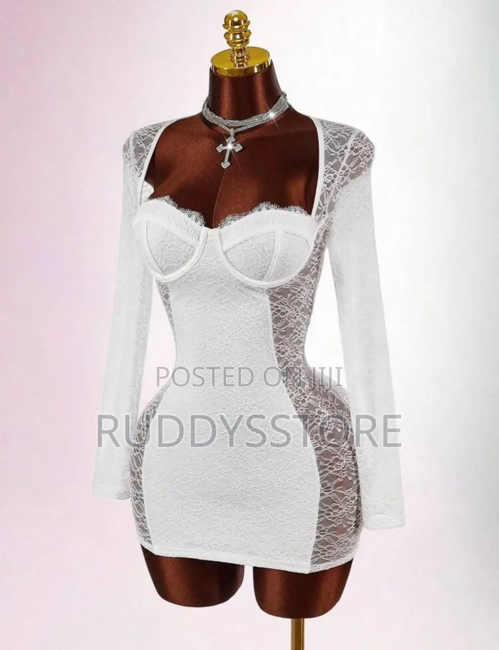 Luxury Sleeved Lacy Dress
