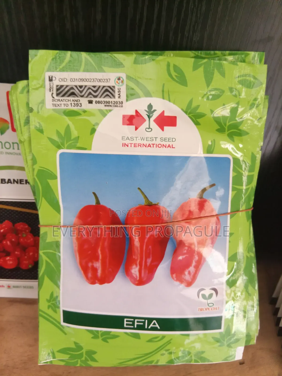 Efia 10g East West Seed
