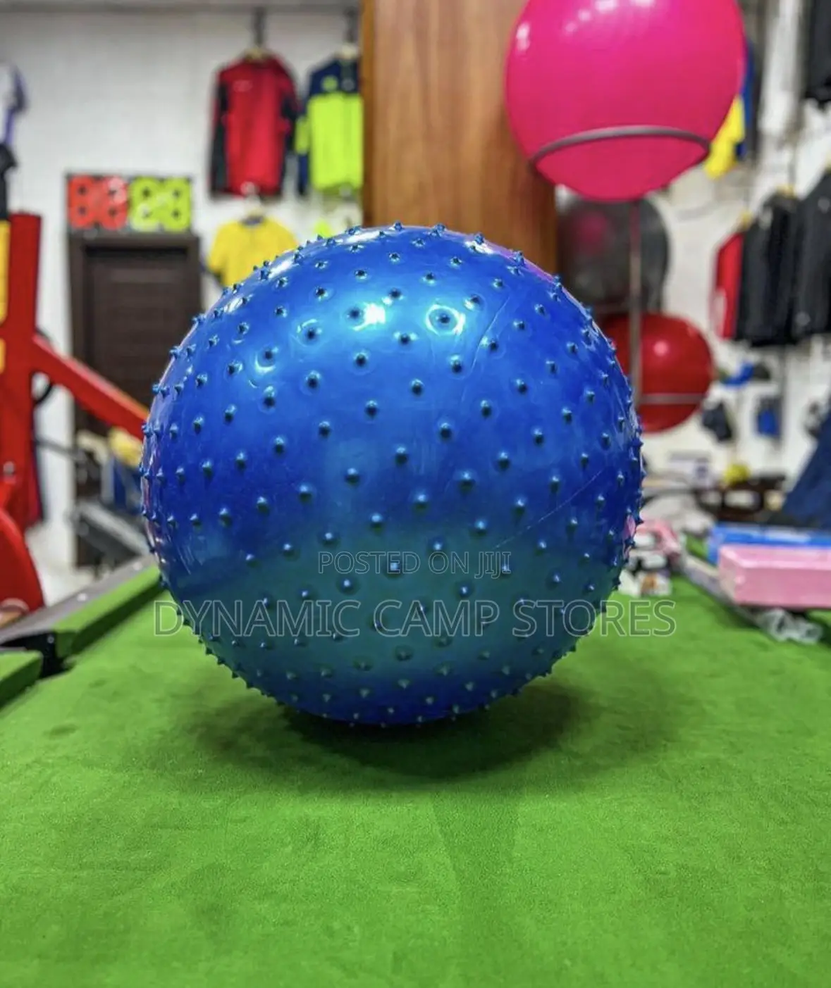 Exercise Yoga Ball Dotted