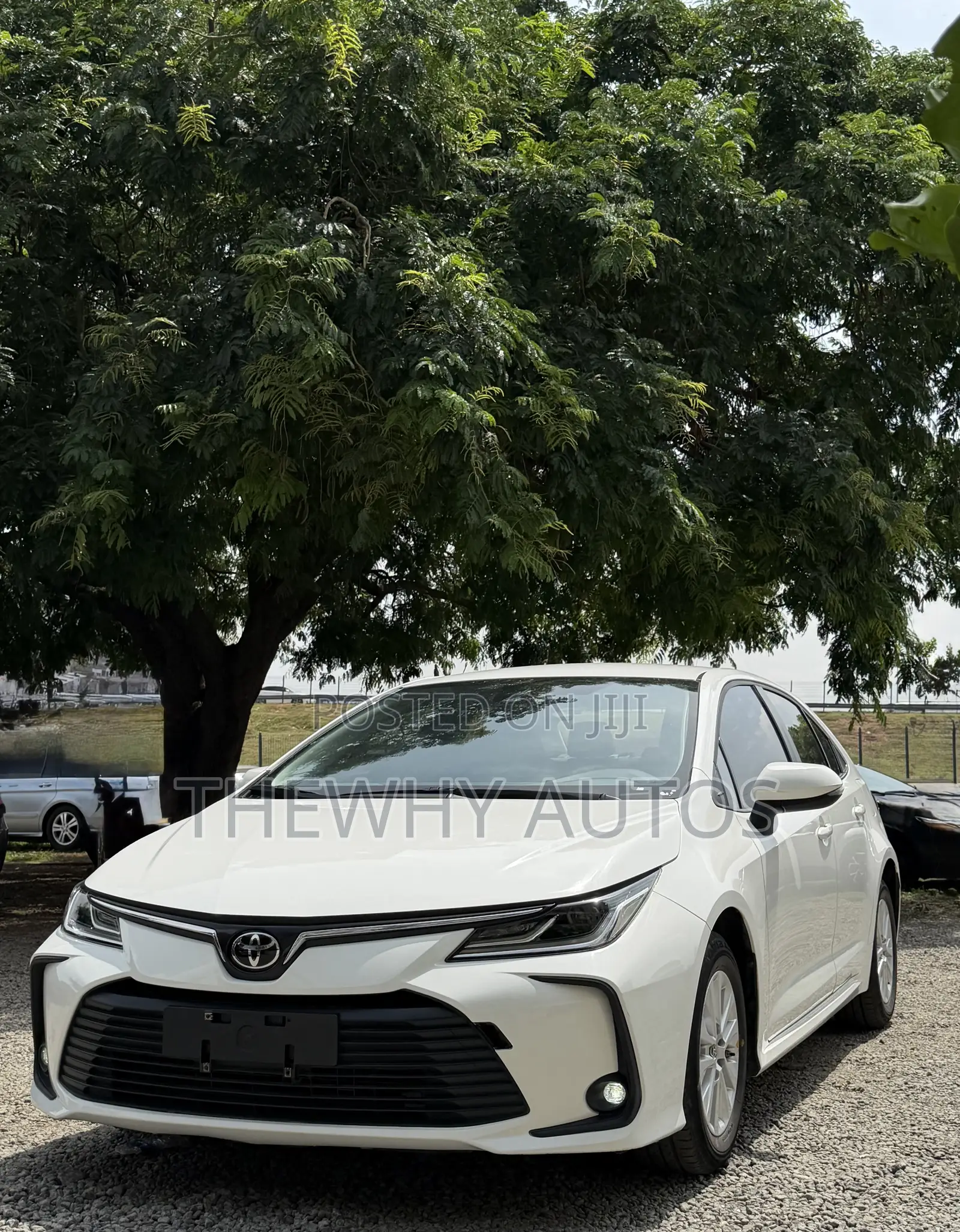 Toyota Corolla LE 2023 White
