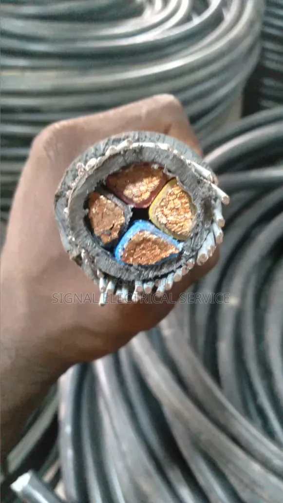 Armored Cable Coleman