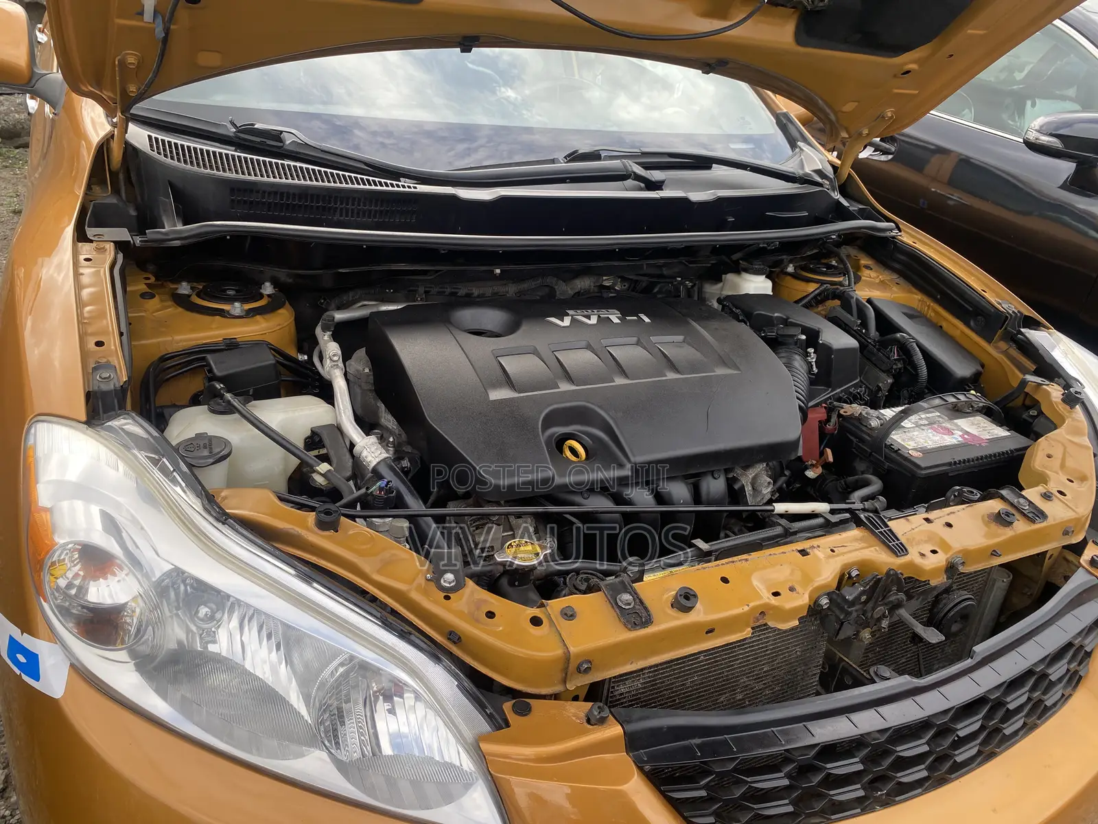 Toyota Matrix Hatchback FWD (1.8L 4cyl 5M) 2010 Gold