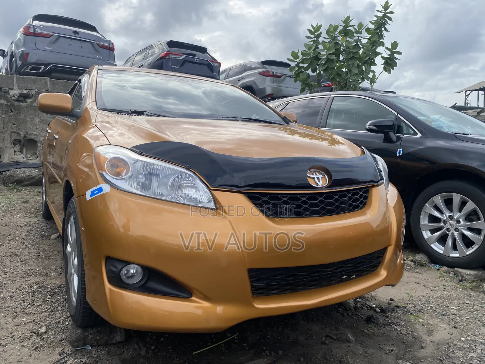 Toyota Matrix Hatchback FWD (1.8L 4cyl 5M) 2010 Gold