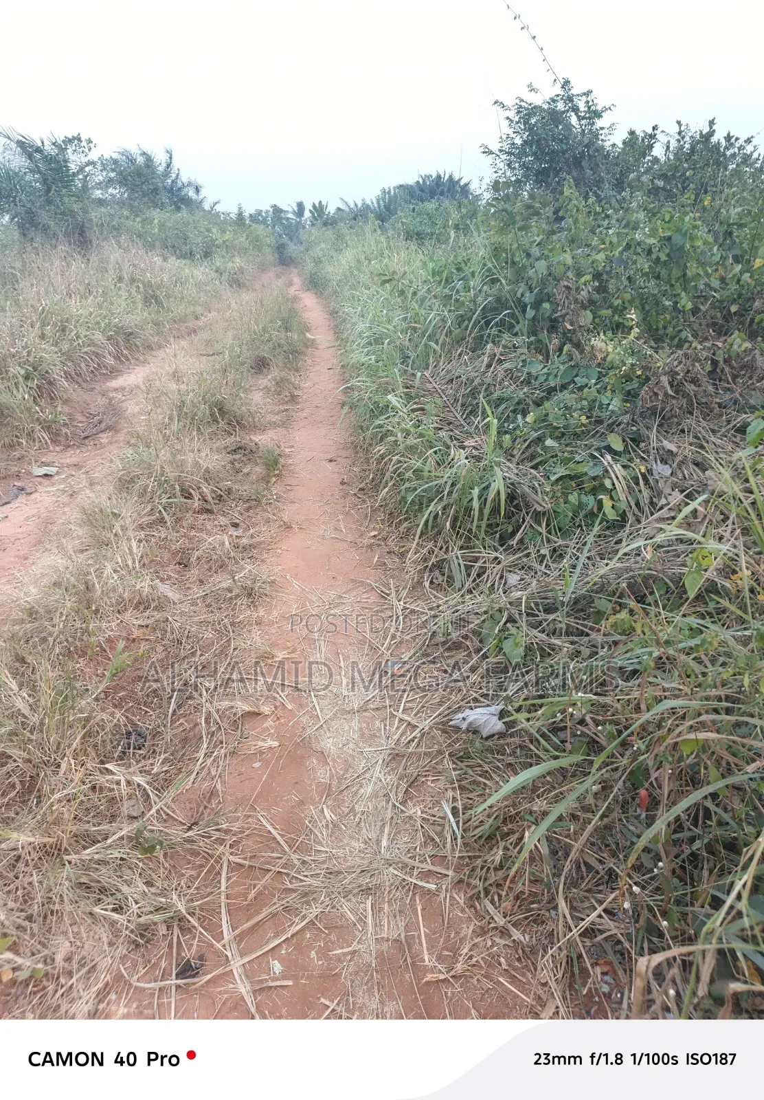 Buy 600 Acres Of Farm Landed Property At 700,000 Per Acre