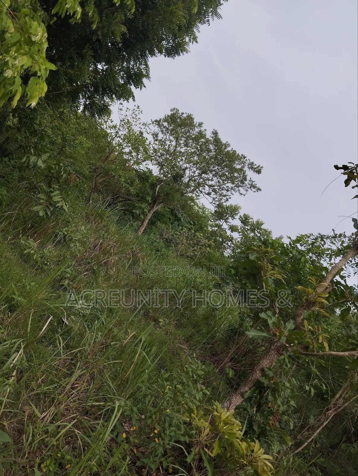 10 Acres of Land Available at Abokede Village, Iseyin, Oyo State