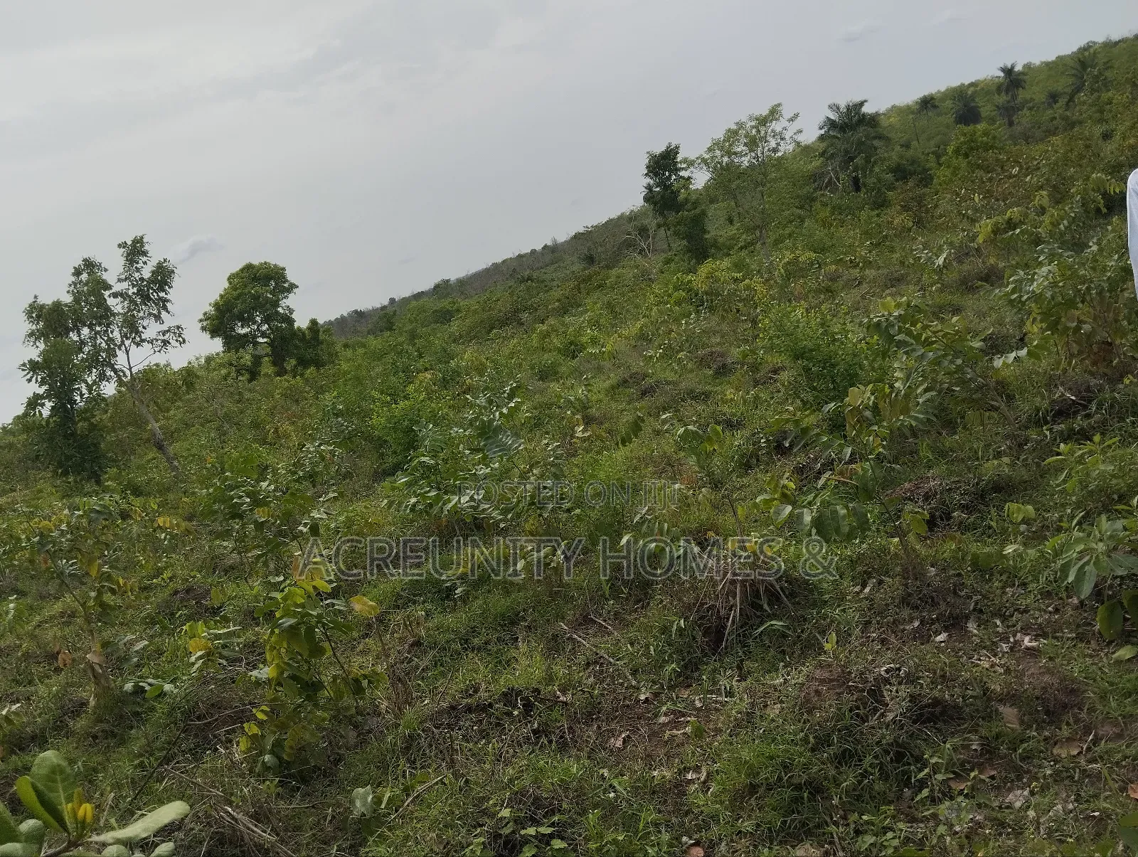 10 Acres of Land Available at Abokede Village, Iseyin, Oyo State