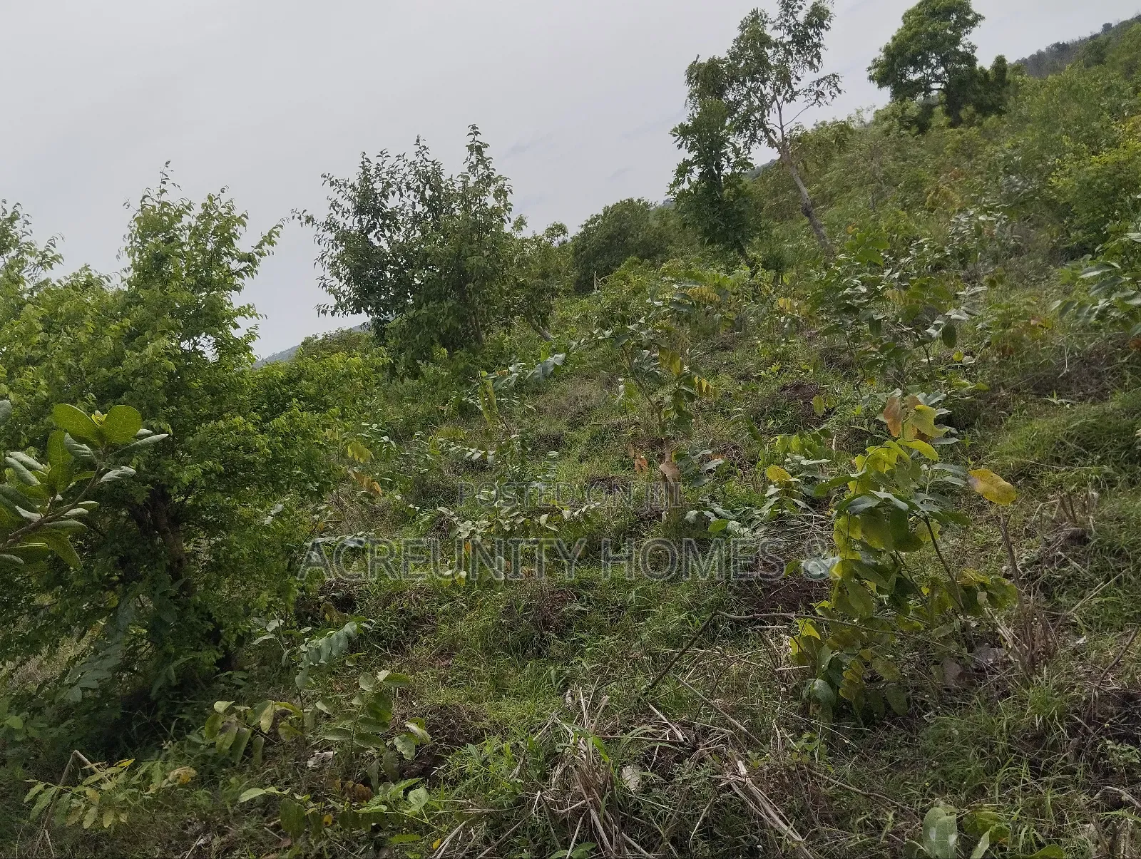 70 Acres of Commercial Land Available at Waasimi, Iseyin, Oyo State
