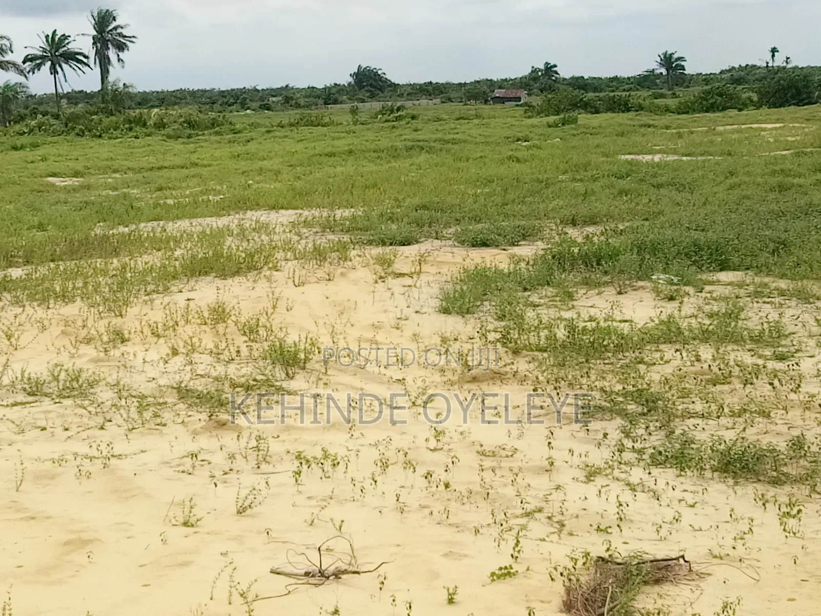 Land for Sale