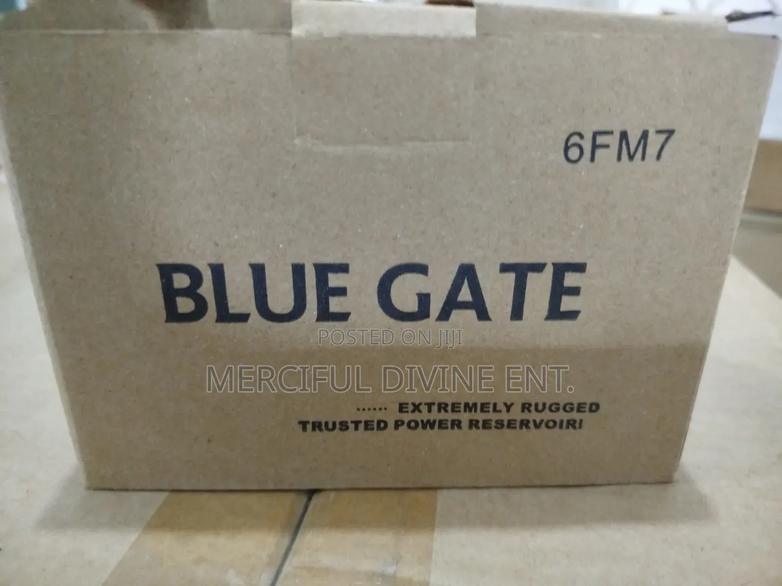 Bluegate Ups 12v7 Battery