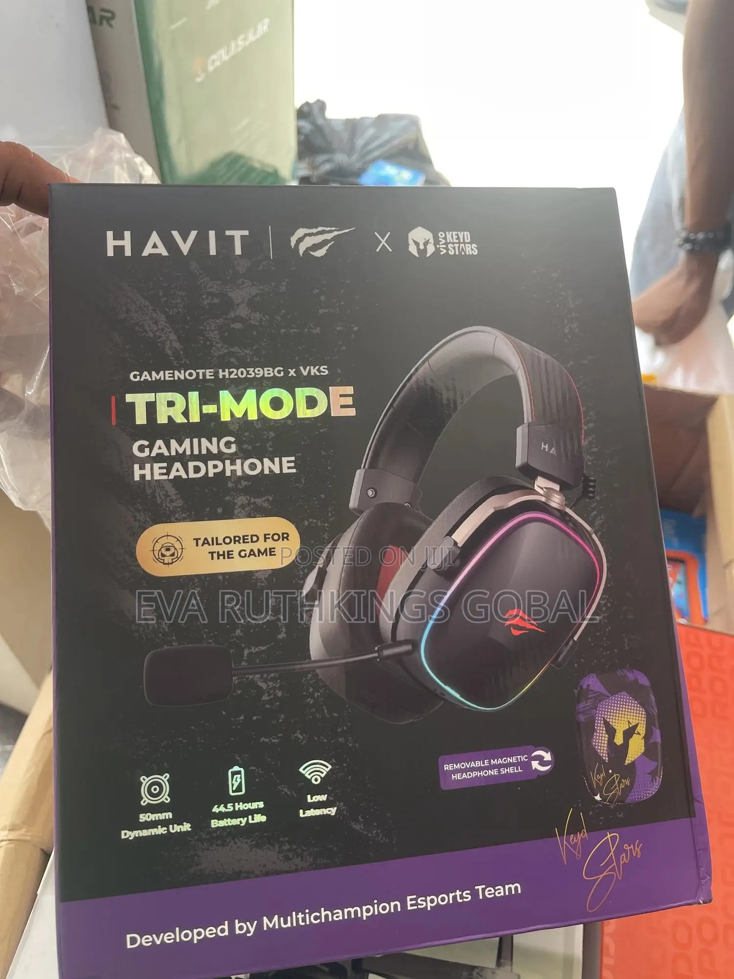 Havit H2039bg *Vks Headphone
