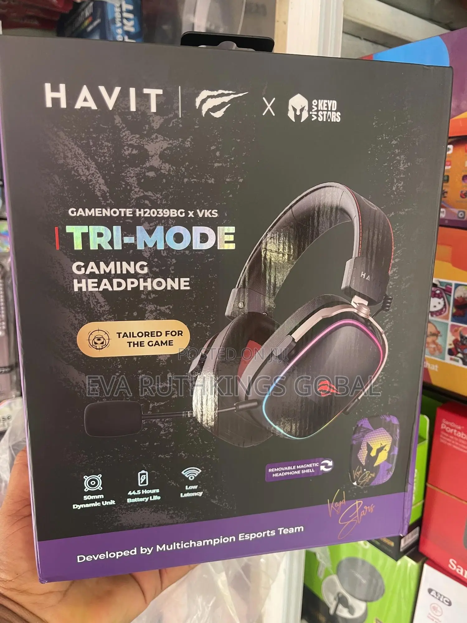 Havit H2039bg *Vks Headphone