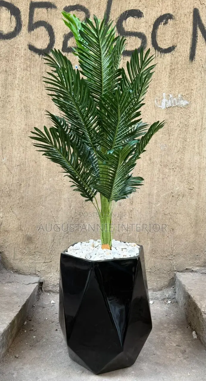 Quality Potted Flower (Fiber Pot)
