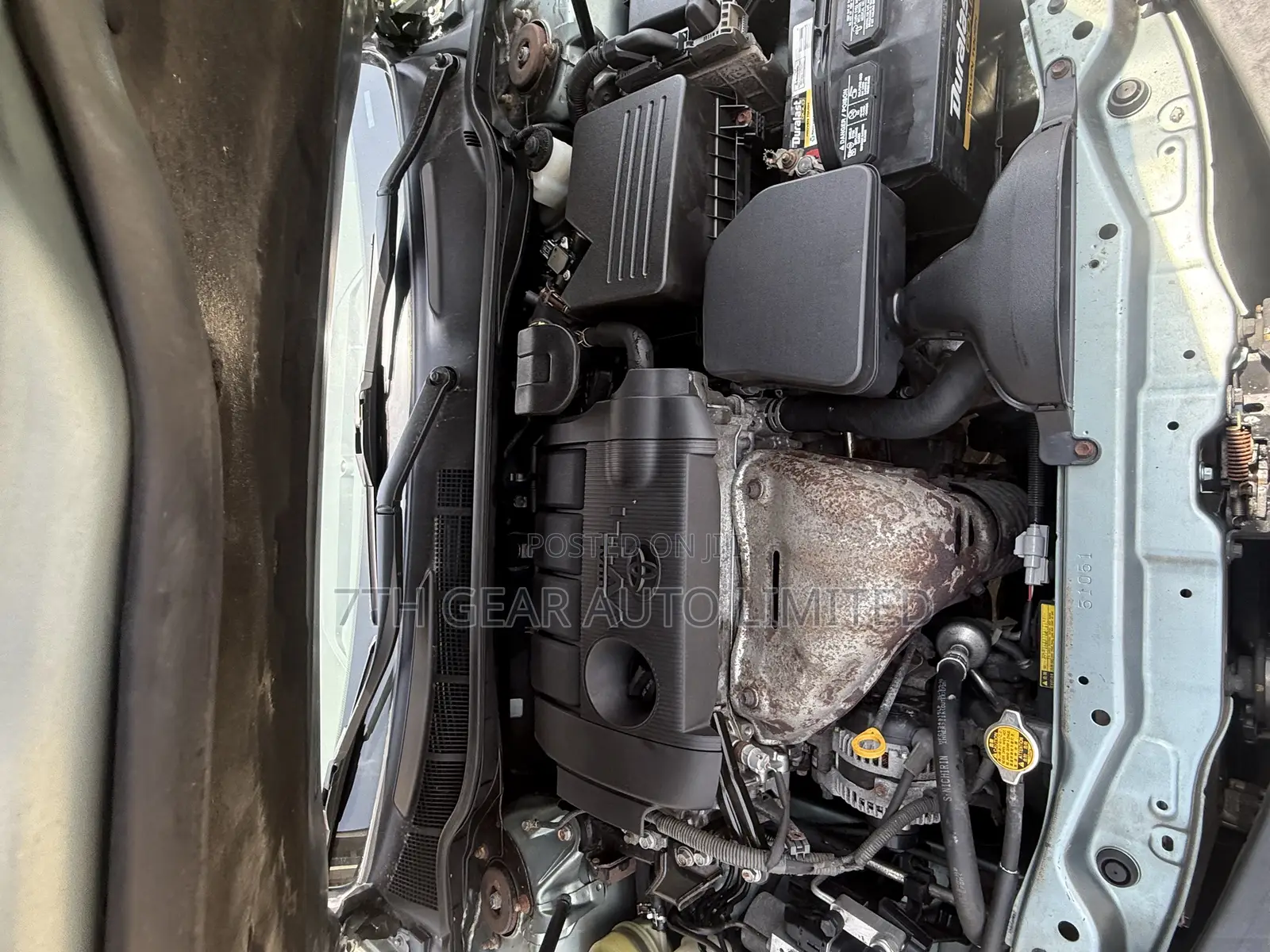 Toyota Camry LE 4dr Sedan (2.5L 4cyl 6A) 2011 Green