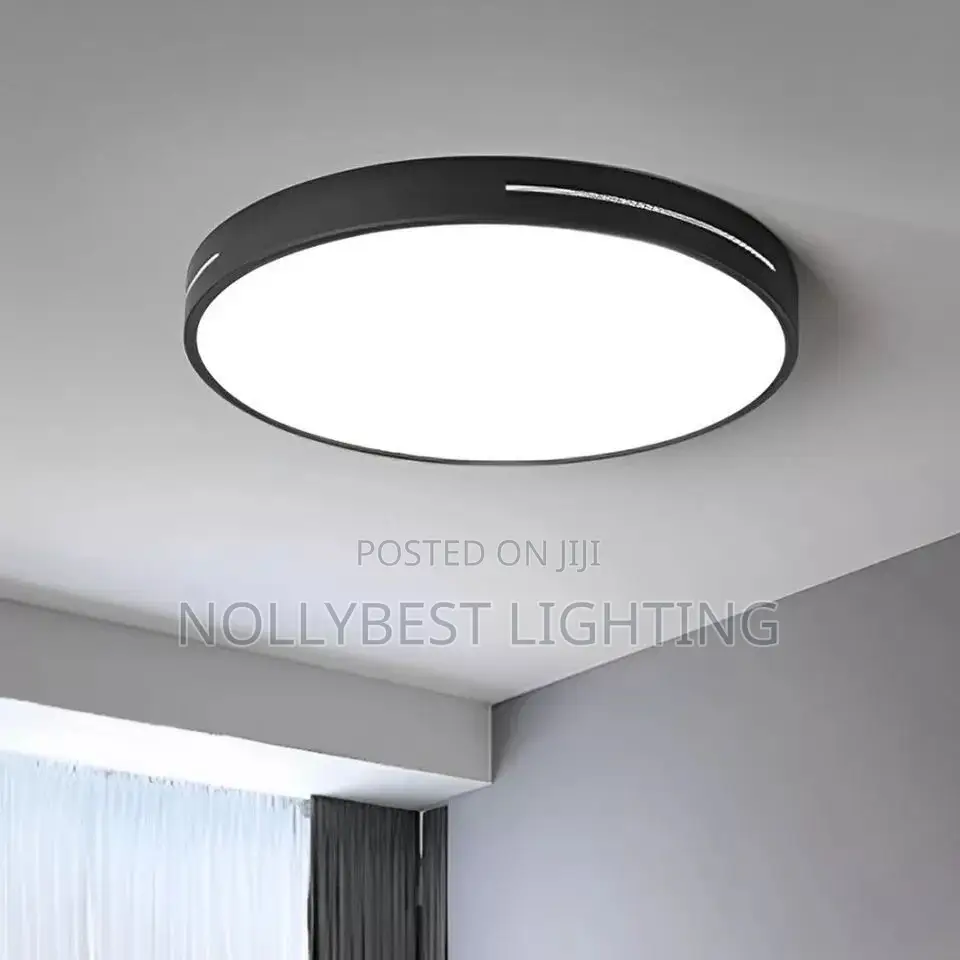 Ceiling Light Led Veil Light Available