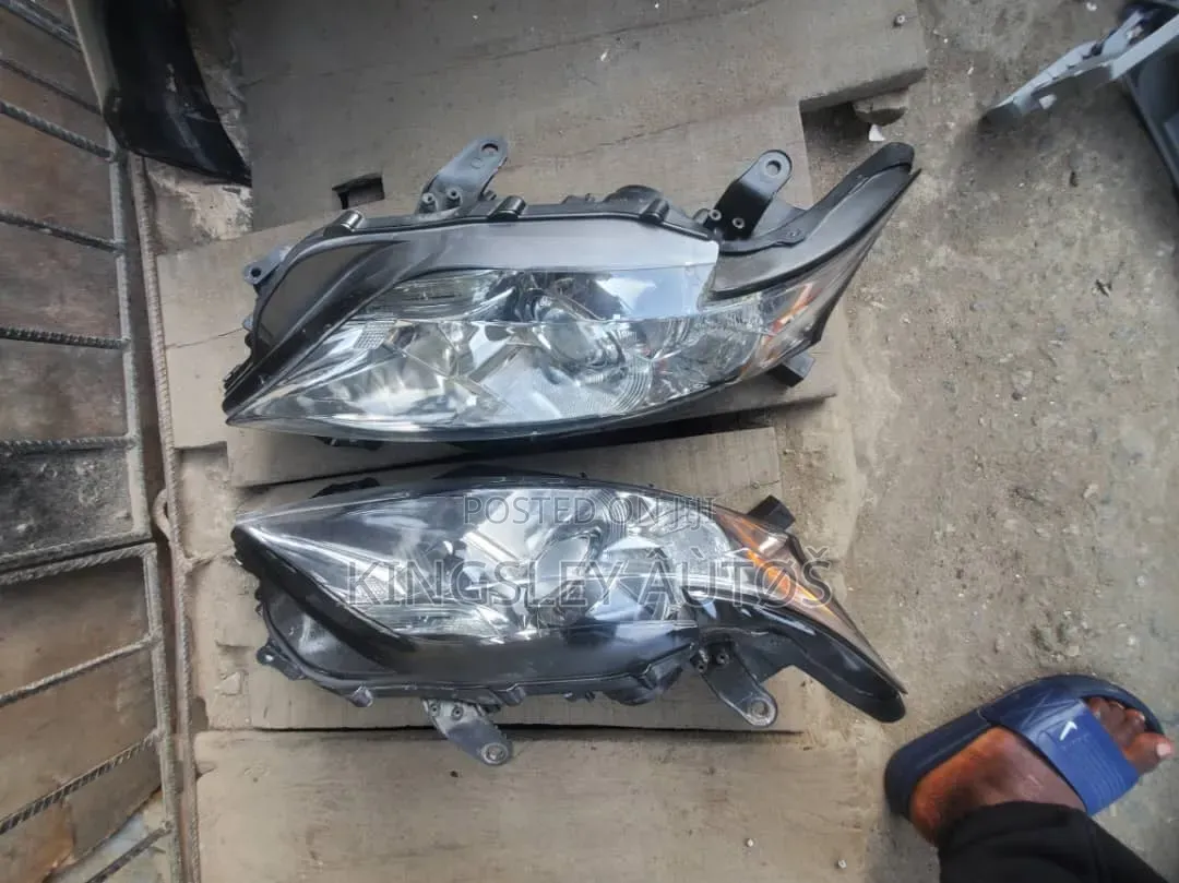 Full Light Rx 350 2010