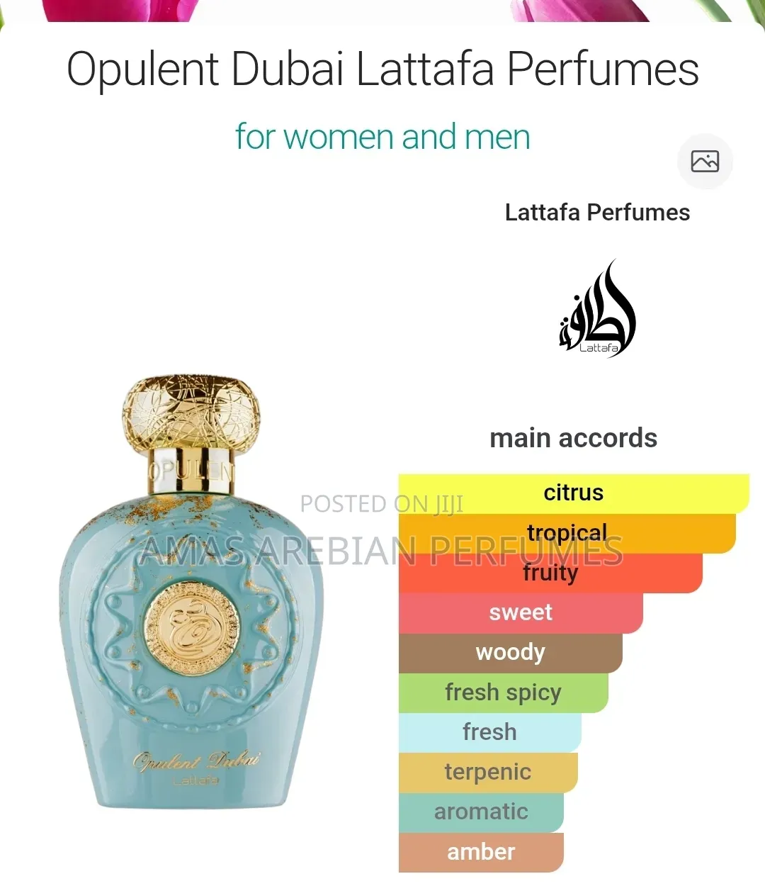 Opulent Dubai