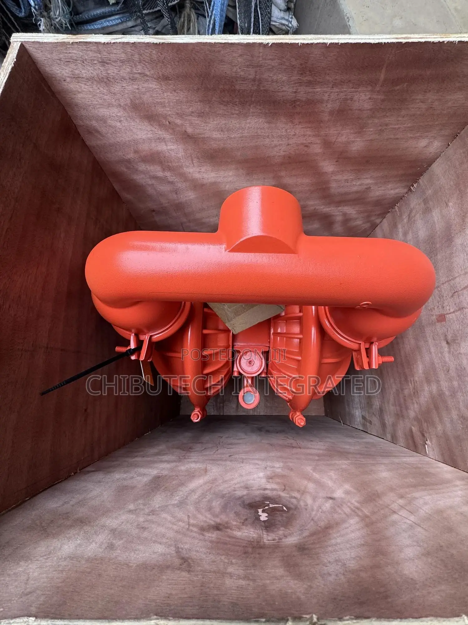 2’’ Wilden Air-Operated Double-Diaphragm (Aodd) Pump