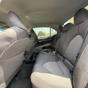 Toyota Camry LE (2.5L 4cyl 8A) 2019 Gray