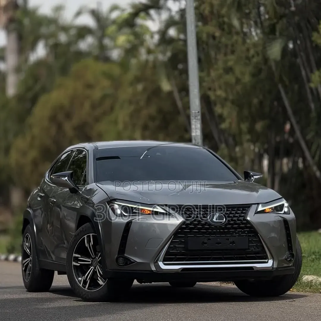 Lexus UX 200 2021 Gray