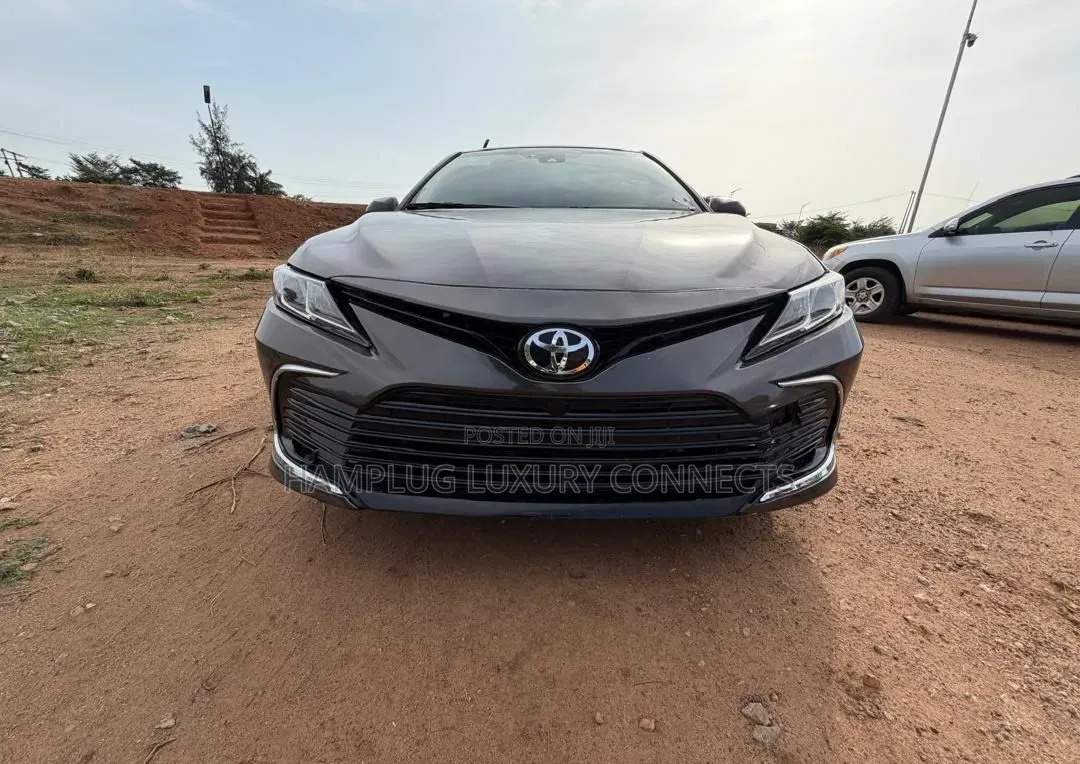 Toyota Camry 2019 Brown