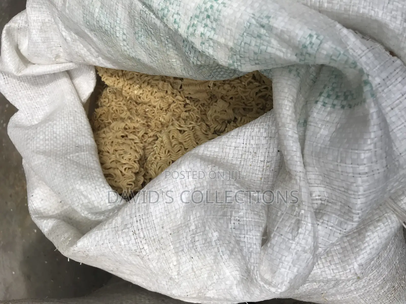 Dog Noodles