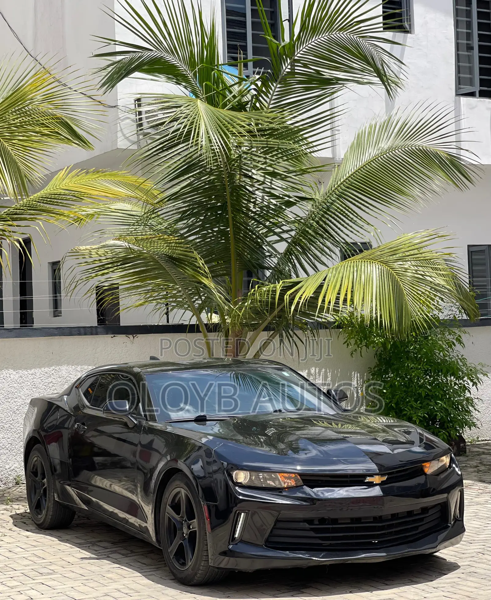 Chevrolet Camaro LS 2dr Coupe w/1LS (3.6L 6cyl 6M) 2016 Black