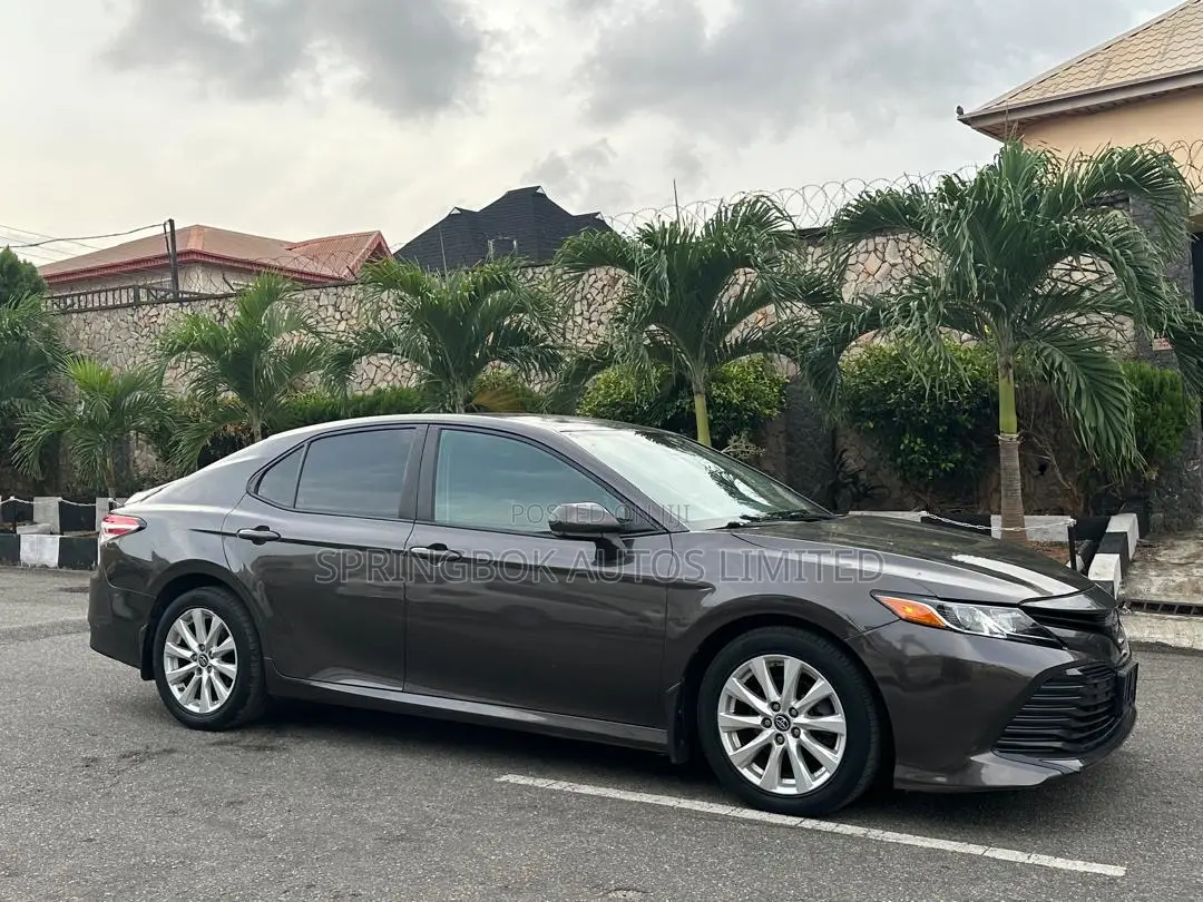 Toyota Camry LE (2.5L 4cyl 8A) 2019 Gray