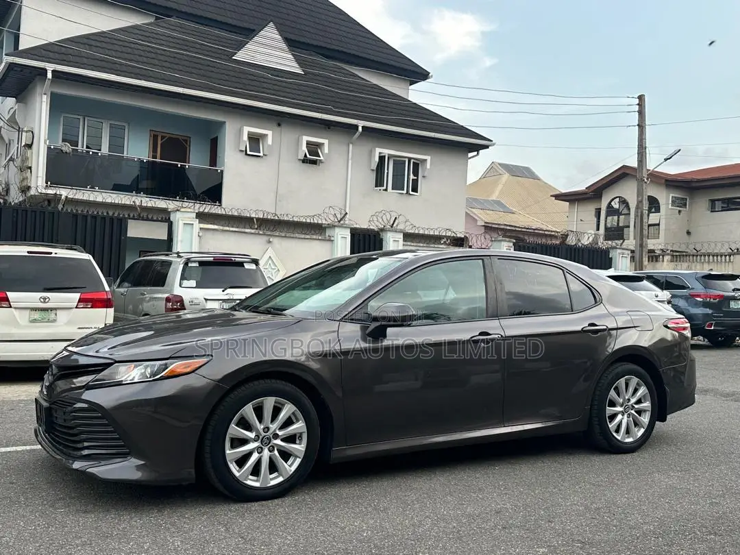 Toyota Camry LE (2.5L 4cyl 8A) 2019 Gray