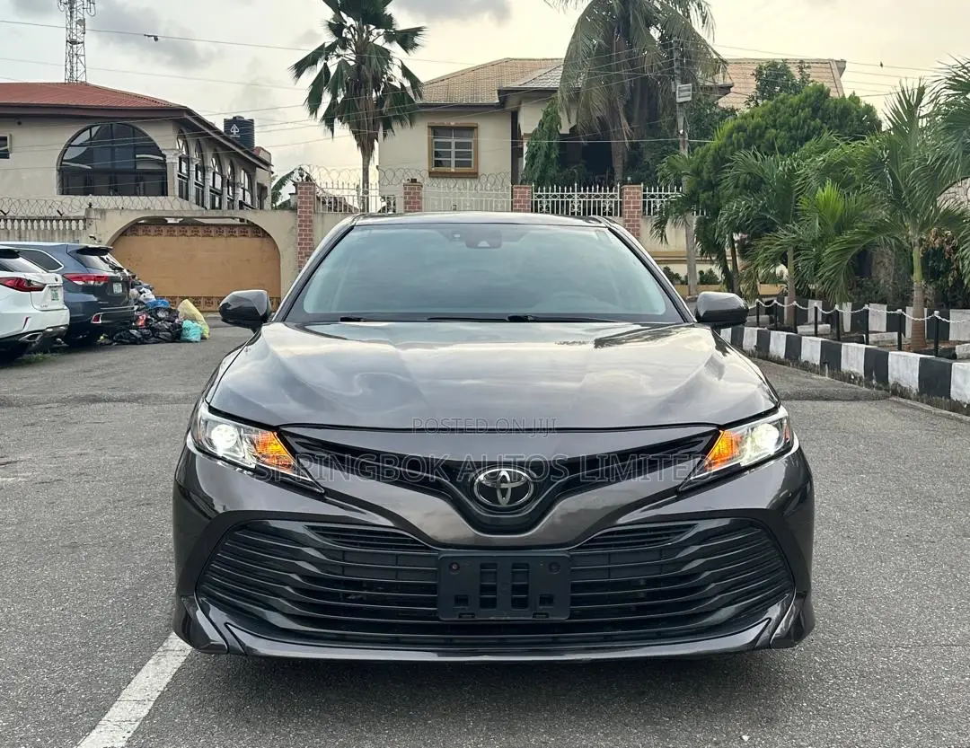 Toyota Camry LE (2.5L 4cyl 8A) 2019 Gray