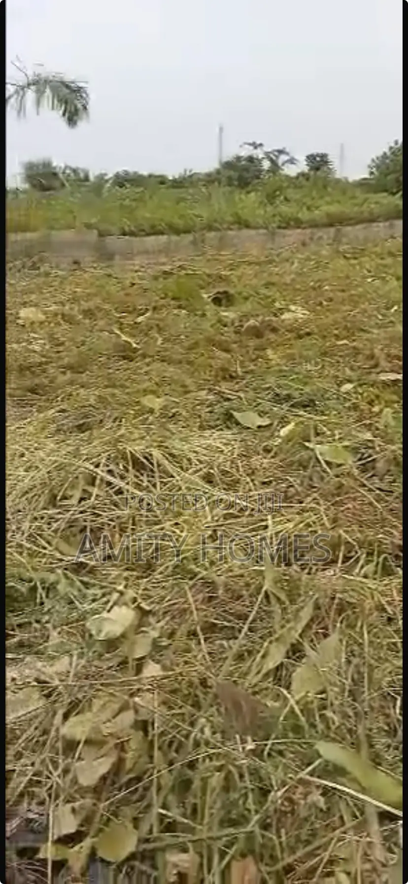 Full Plot of Land