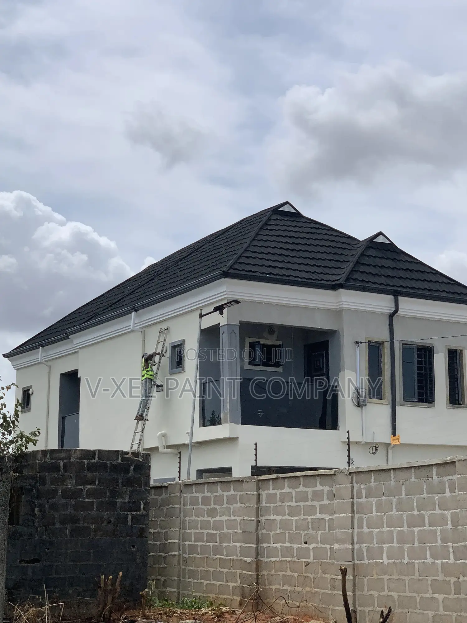 V-Xel Paint Company