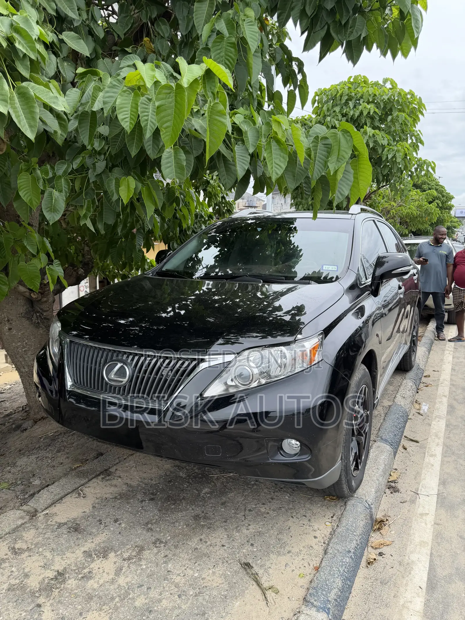 Lexus RX 350 2010 Black