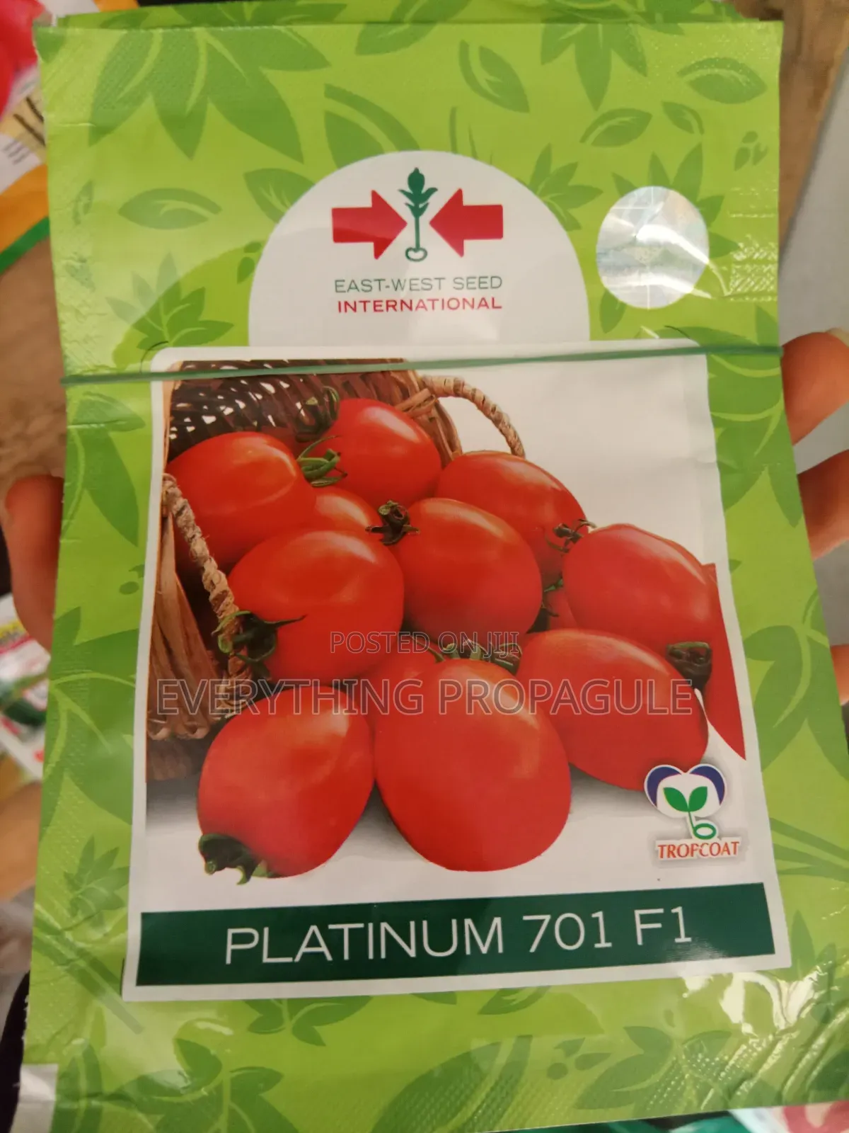 East-West Seed Platinum 701 F1 Tomato Seeds