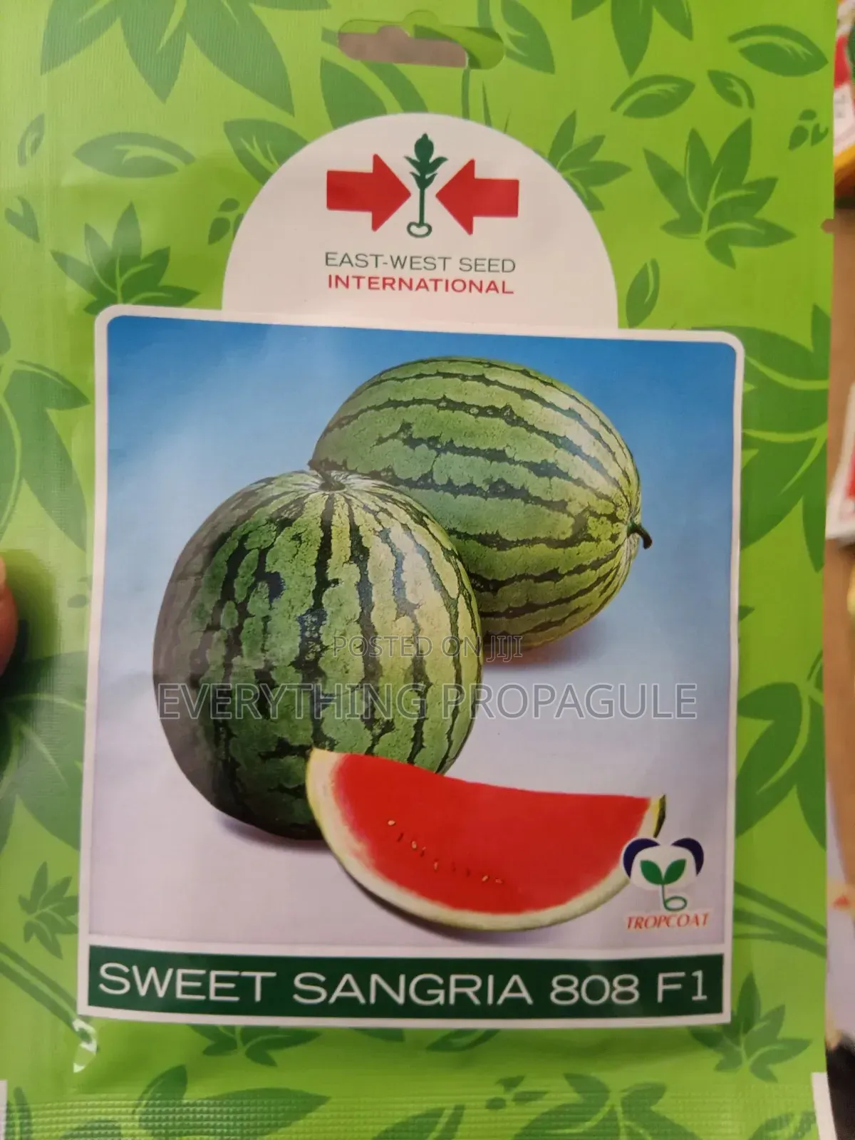 East-West Seed Sweet Sangria 808 F1 Watermelon Seeds