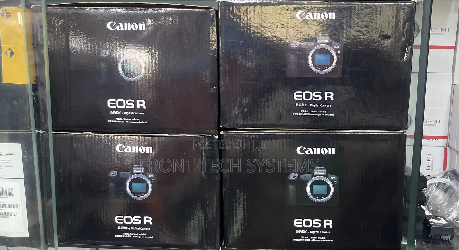 Canon Eos R Mirrorless Video Camera