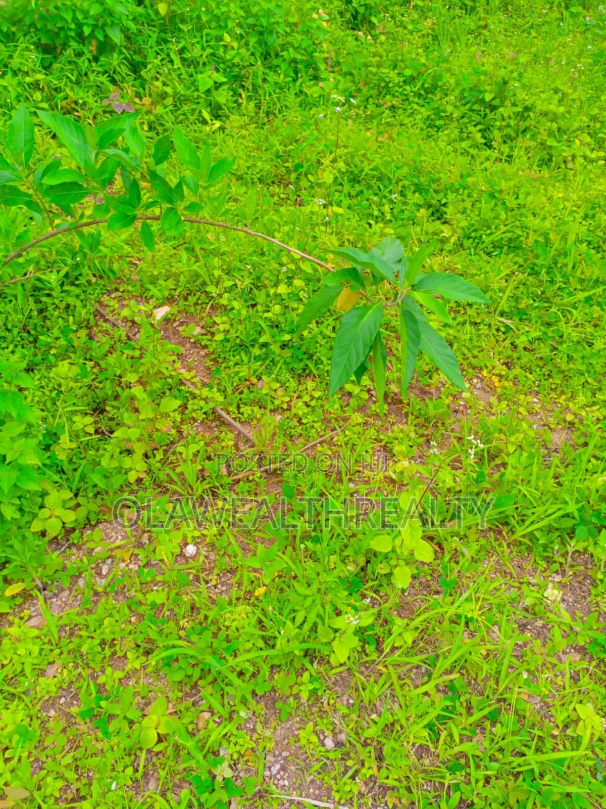 1,983sqm Residential Plot at Asokoro Main
