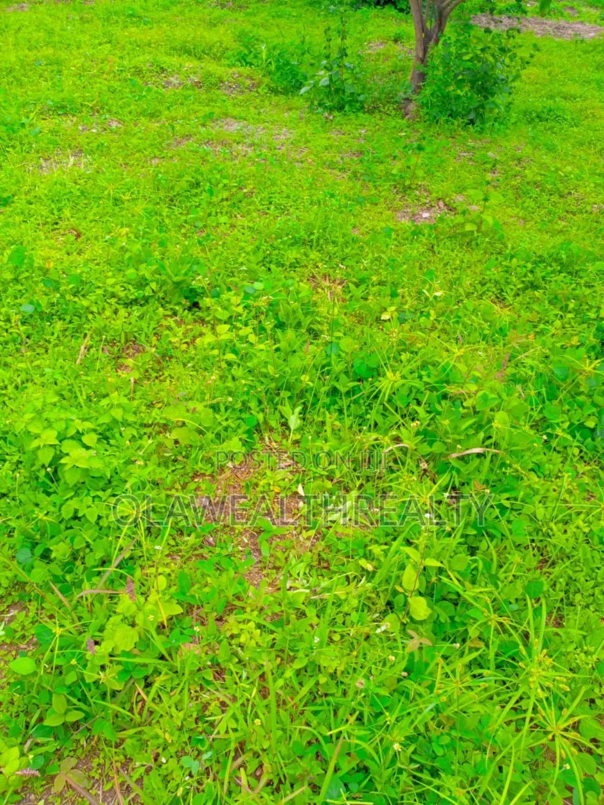 1,926sqm Residential Plot At Gwarinpa 2