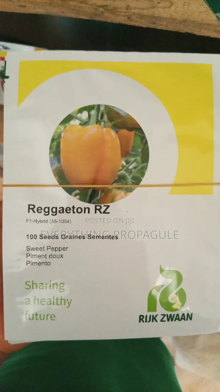 Reggaeton Rz – Sweet Pepper (F1 Hybrid)