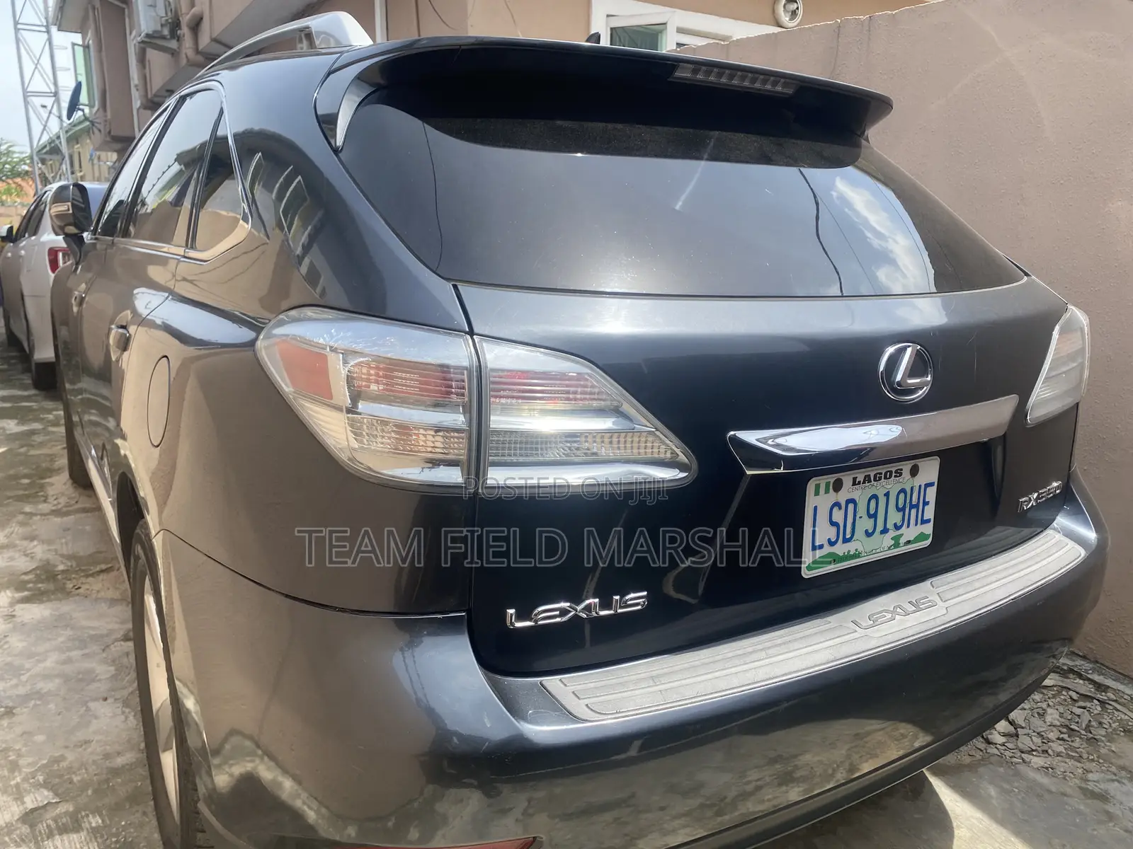 Lexus RX 350 2010 Gray