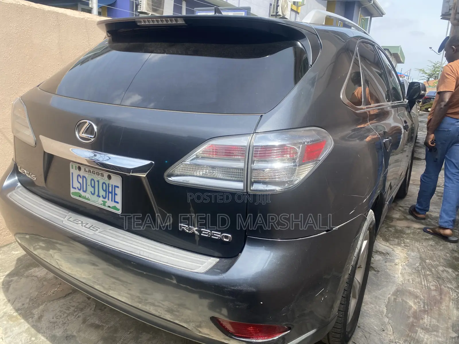 Lexus RX 350 2010 Gray