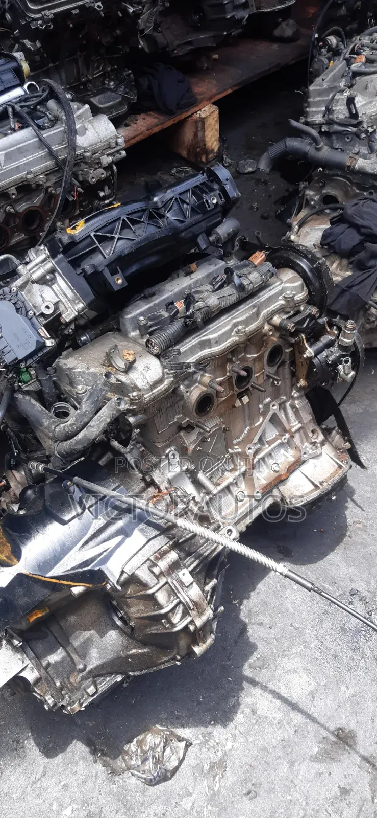 Toyota/Lexus 1mz/3mz V6 Vvti