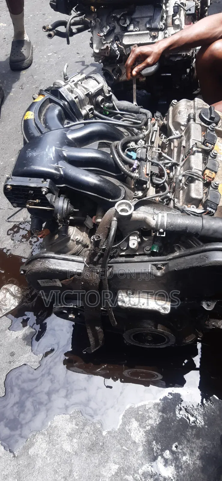 Toyota/Lexus 1mz/3mz V6 Vvti
