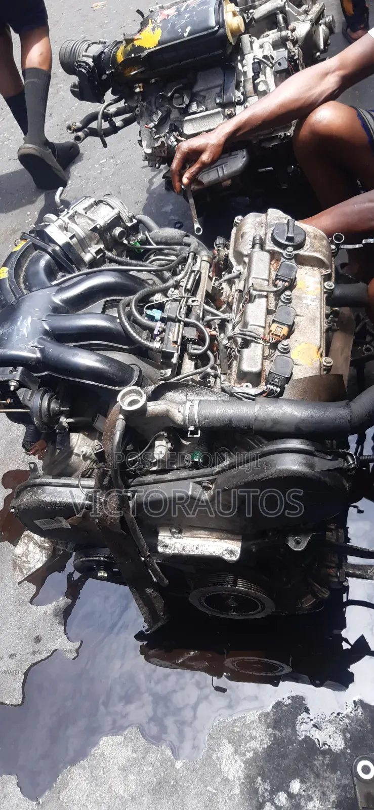 Toyota/Lexus 1mz/3mz V6 Vvti