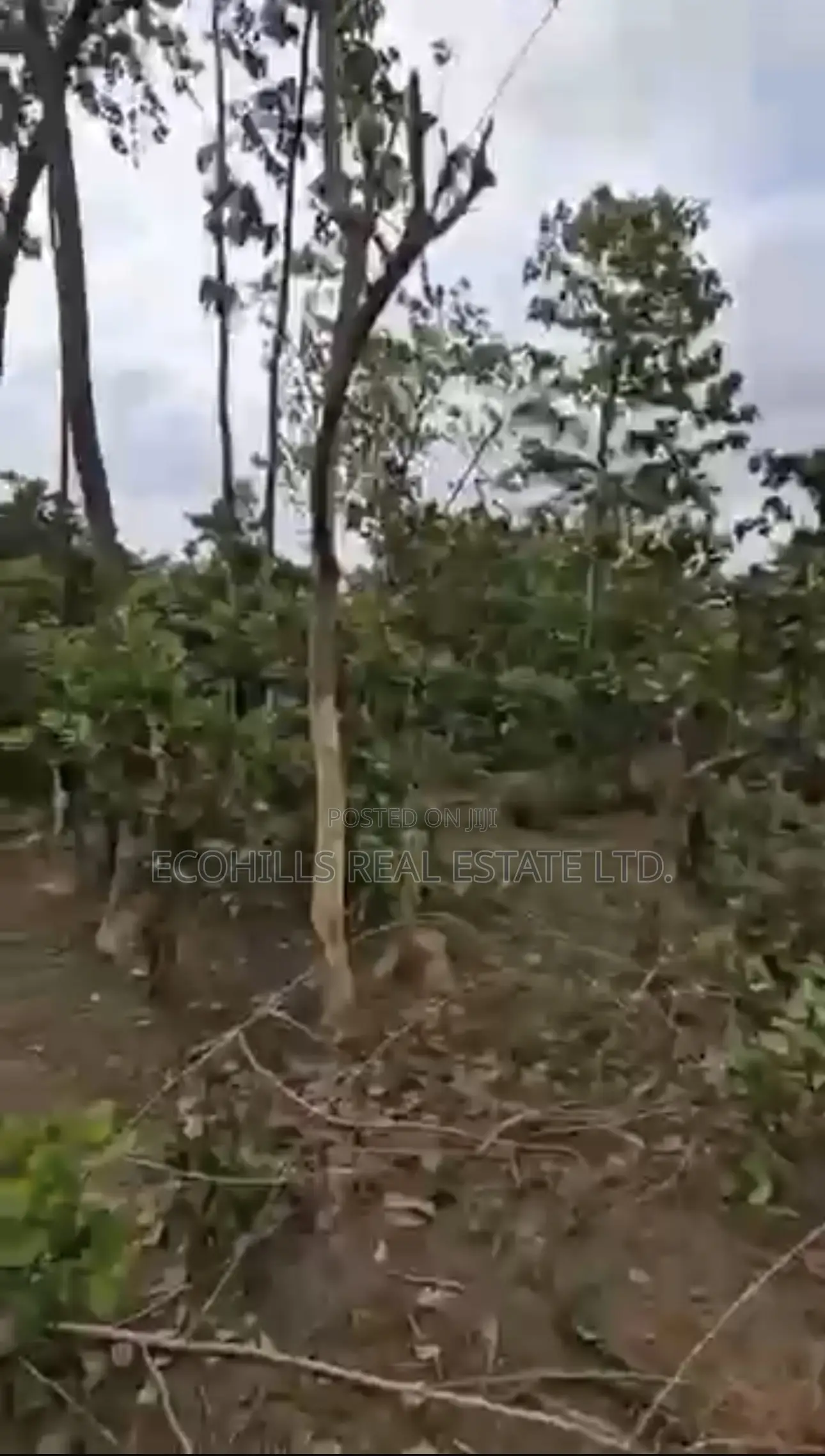 3 Hectares
