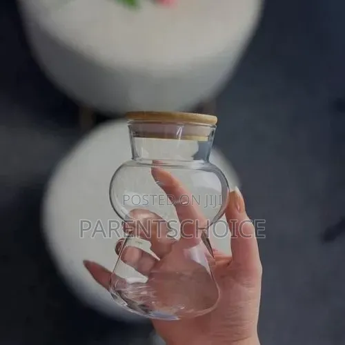 Borosilicate Glass Drinking Glass With Lid and Straw