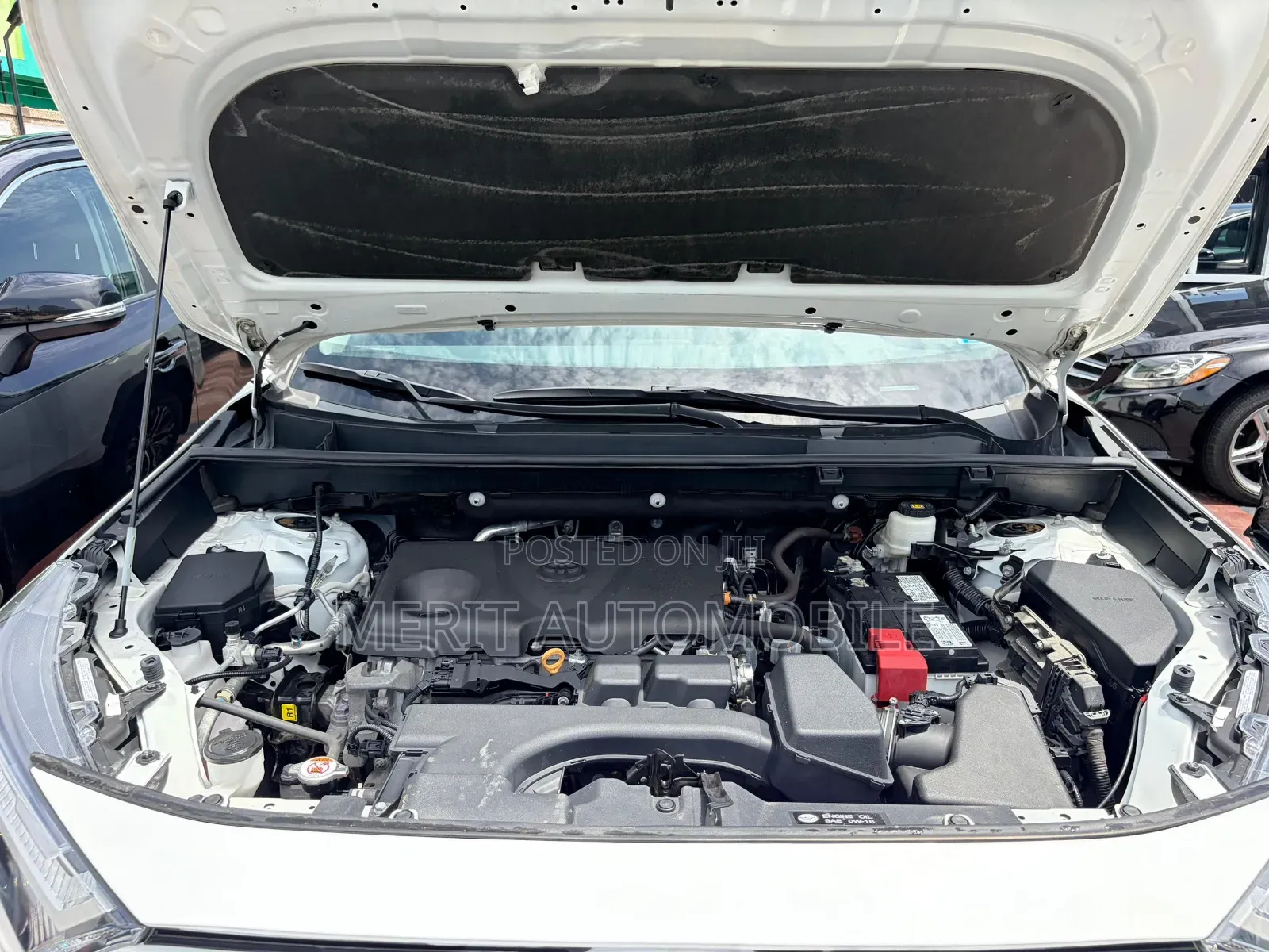 Toyota RAV4 XLE 2022 White